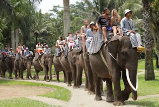 https://tempat.org/2017/02/pesona-keindahan-wisata-bali-elephant.html