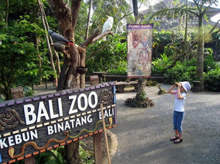 https://tempat.org/2017/02/pesona-keindahan-wisata-bali-zoo-park.html