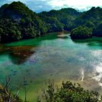 Pesona Keindahan Wisata Pulau Sempu Malang