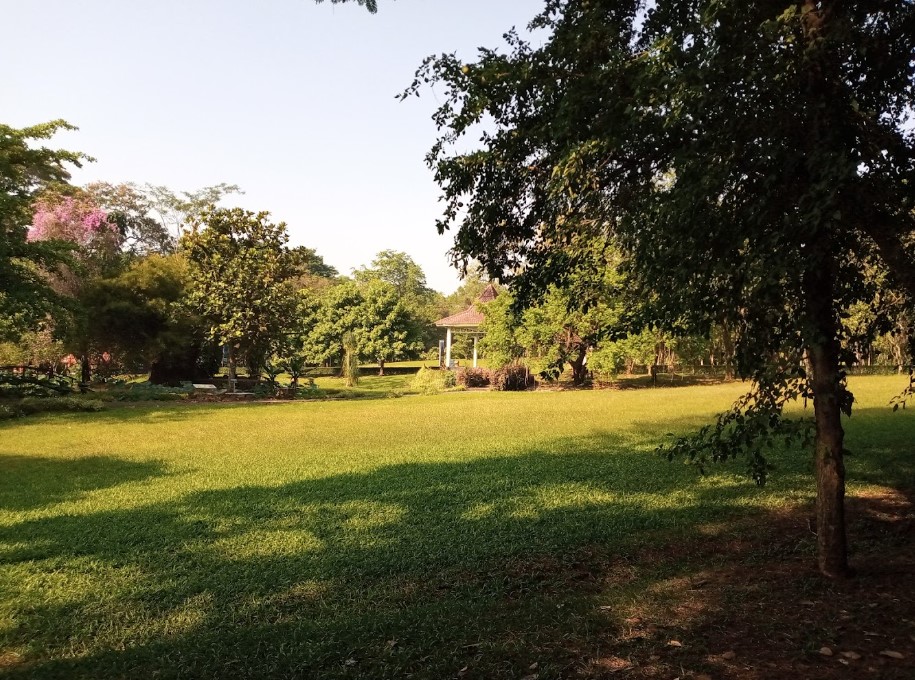 Lokasi Wisata Kebun Raya Purwodadi Pasuruan