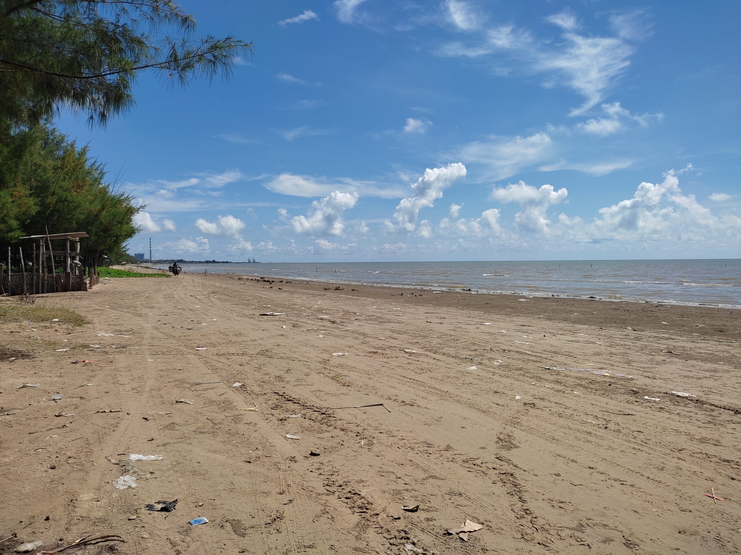 Pesona Keindahan Wisata Pantai Cemara di Tuban