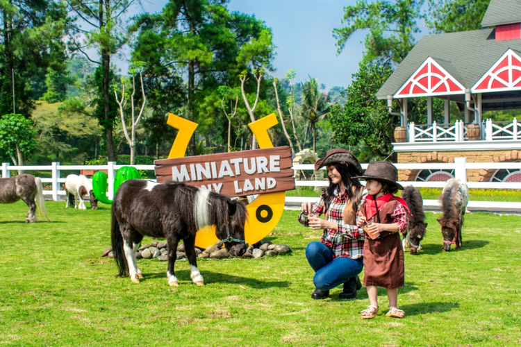 Cimory Dairyland Farm Theme Park Puncak Bogor