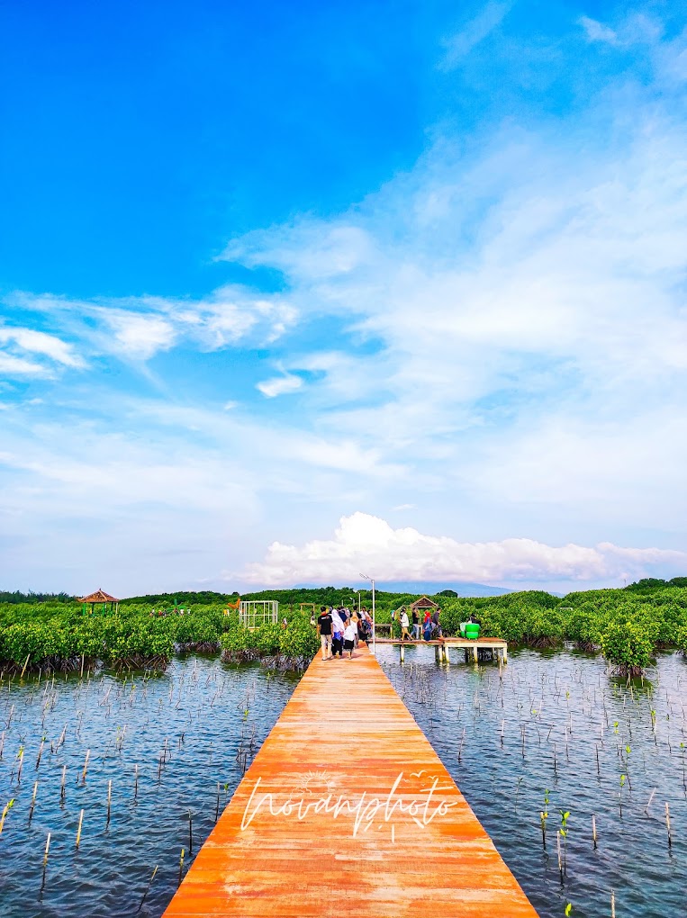 Pesona Keindahan Wisata Taman Mangrove di Pasar Banggi Rembang Jawa Tengah