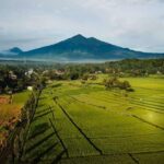 Daya Tarik Objek Wisata Desa Wisata Tingkir di Salatiga Jawa Tengah