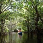 Destinasti Keindahan Wisata Hutan Mangrove Lembongan di Nusapenida Klungkung Bali