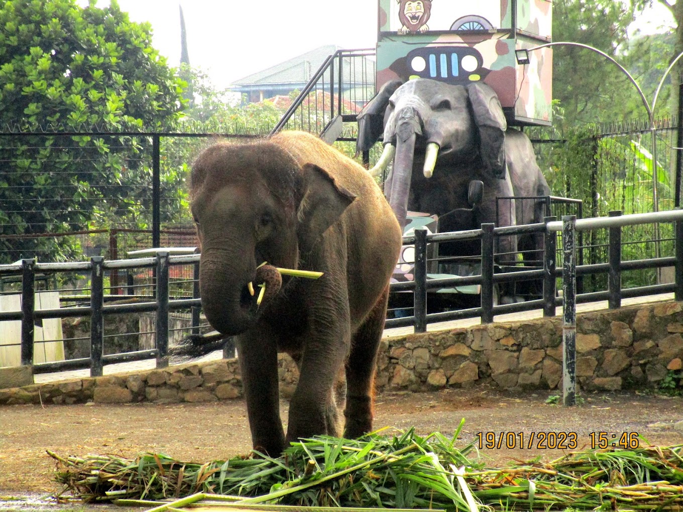 Lokasi Wisata Kampung Gajah