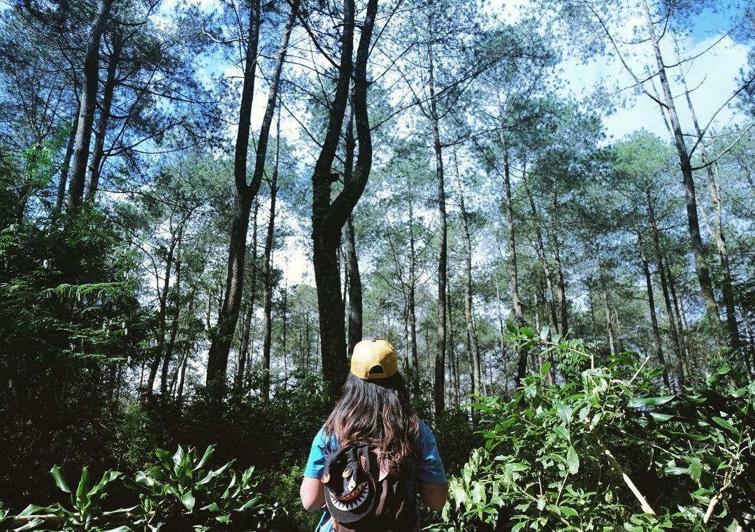Pesona Keindahan Wisata Taman Hutan Jaya Giri – Lembang di Dago Bandung jawa Barat