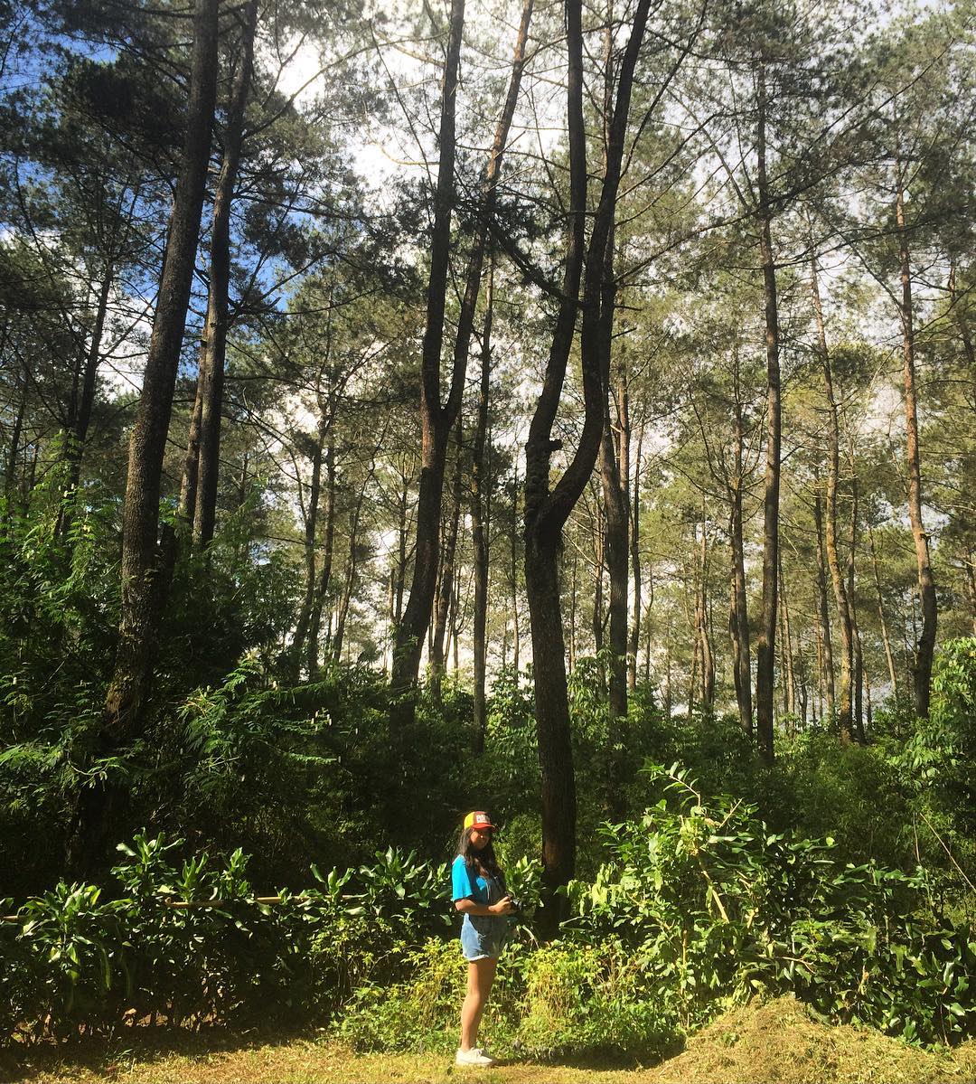 Saran dan Tips Berlibur ke Taman Hutan Jaya Giri