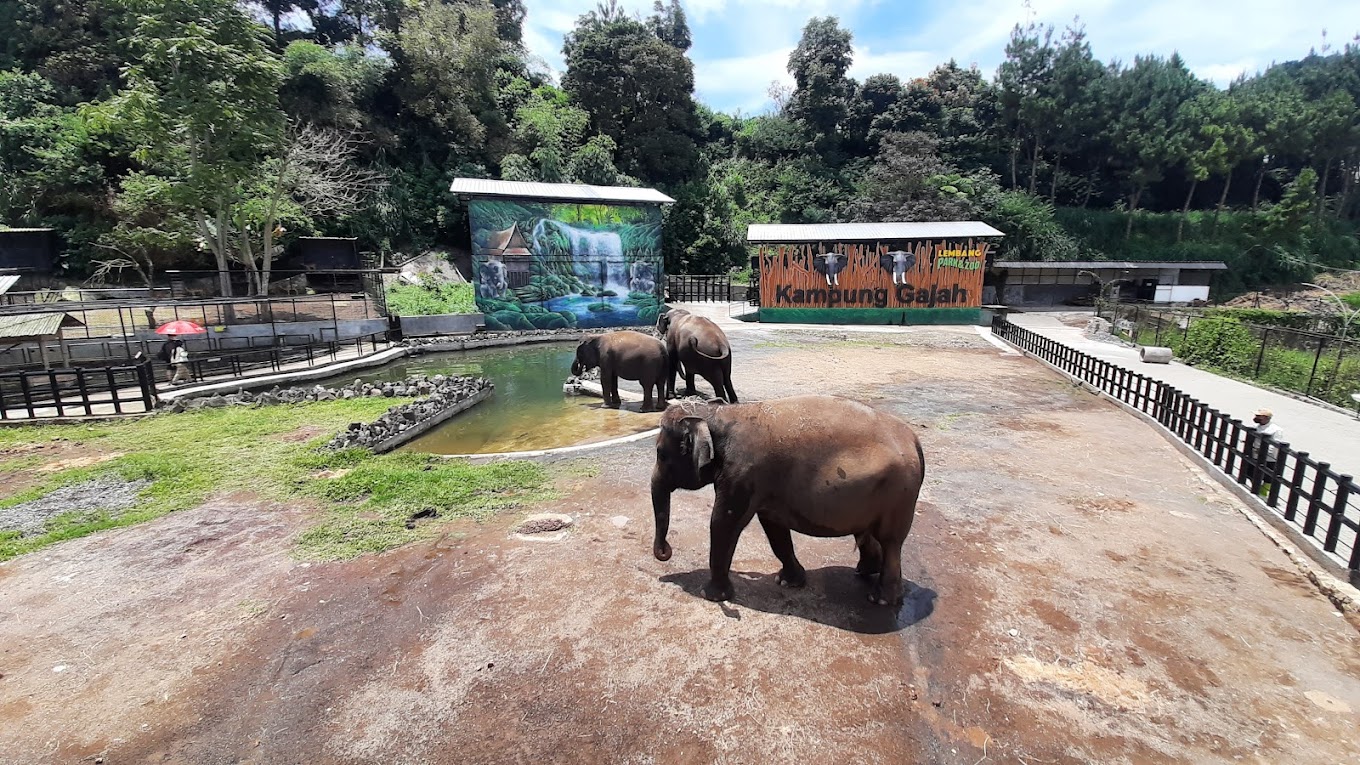 Saran dan Tips Berlibur ke Wisata Kampung Gajah