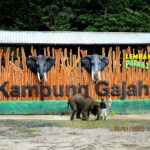 pesona keindahan Wisata Kampung Gajah – Bandung Utara di Parongpong Bandung jawa Barat