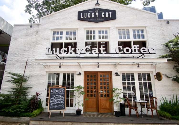 Lucky Cat Coffee