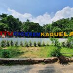 Daya Tarik Obyek Wisata Situ Cicerem di kaduela Kuningan Jawa Barat