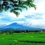 Pesona Keindahan Obyek Wisata Desa Wisata Cikalahang di Dukupantang Cirebon Jawa Barat