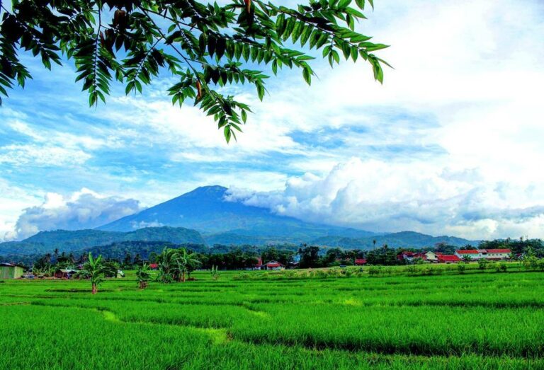 Pesona Keindahan Obyek Wisata Desa Wisata Cikalahang di Dukupantang Cirebon Jawa Barat
