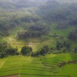 Daya Tarik Obyek Wisata Desa wisata Selasari di Pangadaran Jawa Barat